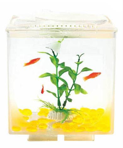 Aquasyncroapple Windows 15x15x18