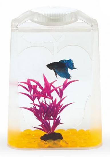 Aquasyncro Betta Tower 14x10x21