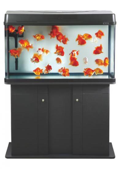 Aquasyncro Honor Akvaryum 101x43x60 Cm