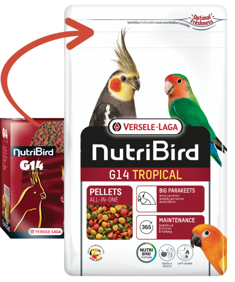 Nutrıbırd G14 Tropıcal Paraket Pelet Yem 1kg