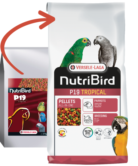 Versele Laga Nutrıbırd P19 Tropıcal 10kg